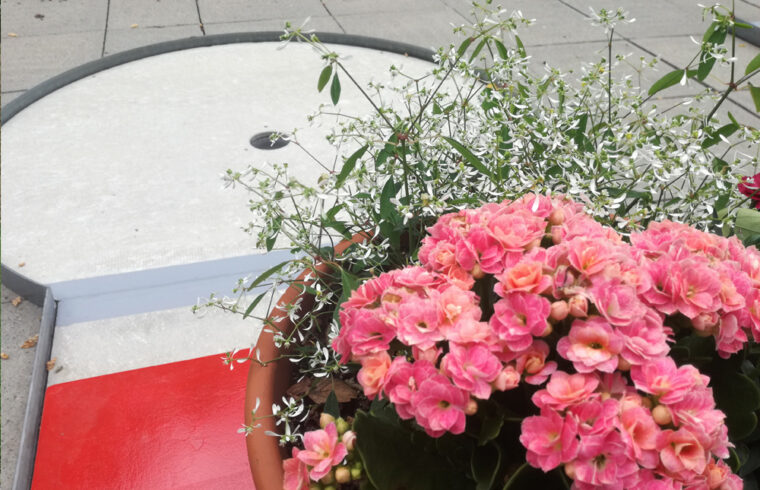 Blumentopf auf dem Tunnel